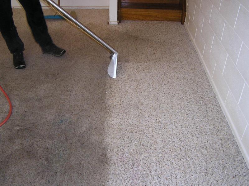 Steam Carpet Cleaning Professional Steam Carpet Cleaning Professional