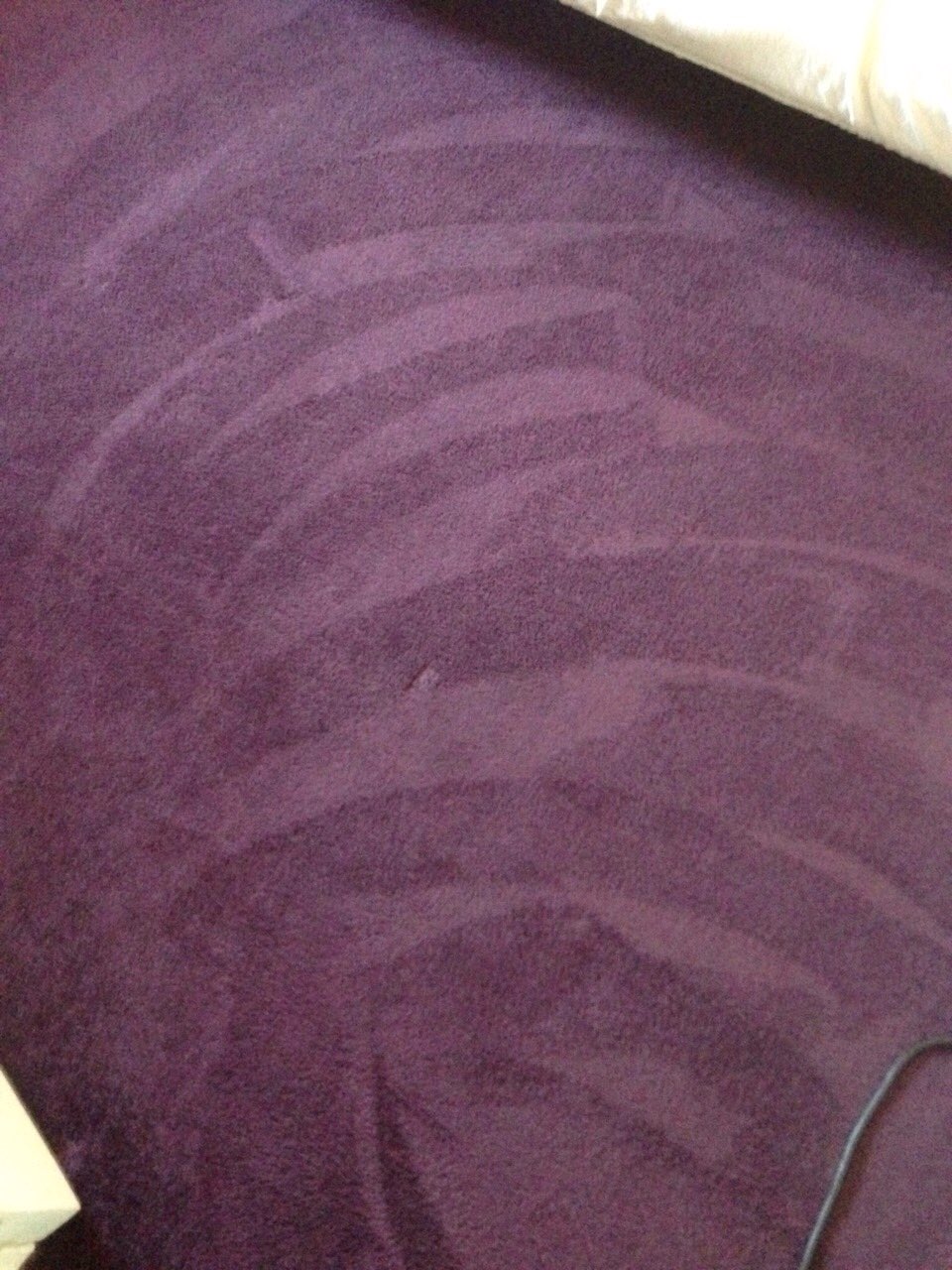 freshly cleaned shaggy carpet