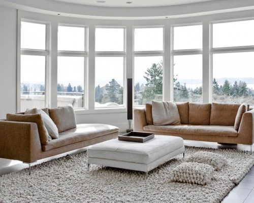living room carpet sofa.jpeg