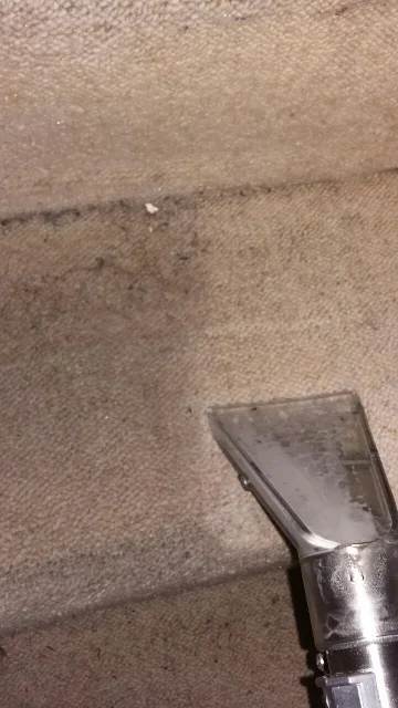Powerful Carpet Cleaning System