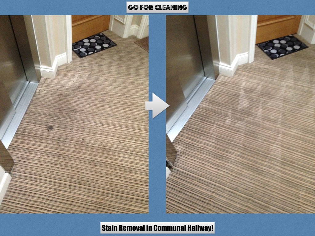 Stain free hallway after Carpet Clean