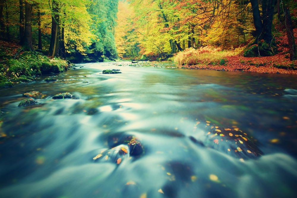 Image ID: 347658884. Copyright: rdonar. Shutterstock.com