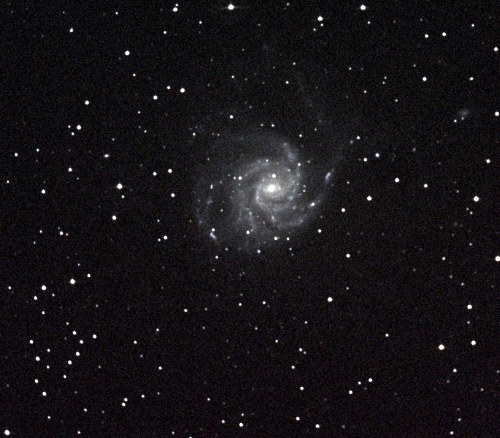 Pinwheel Galaxy (M 101). (Photo credit: Richard Johnson)