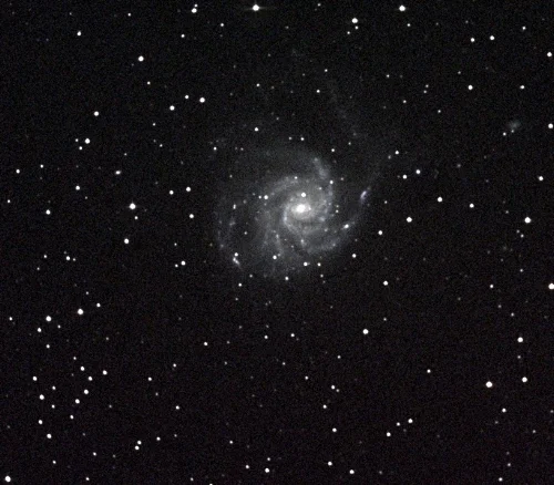 Pinwheel Galaxy (M 101). (Photo credit: Richard Johnson)