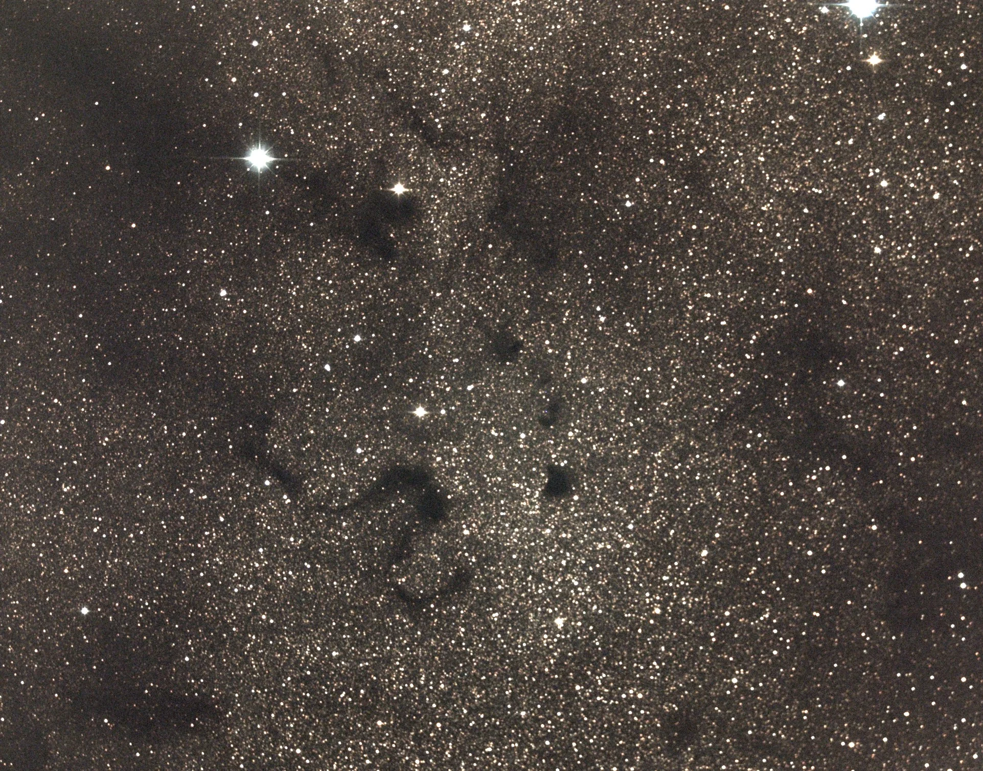 Barnard 72, The Snake Nebula. Photo credit: Richard Johnson.