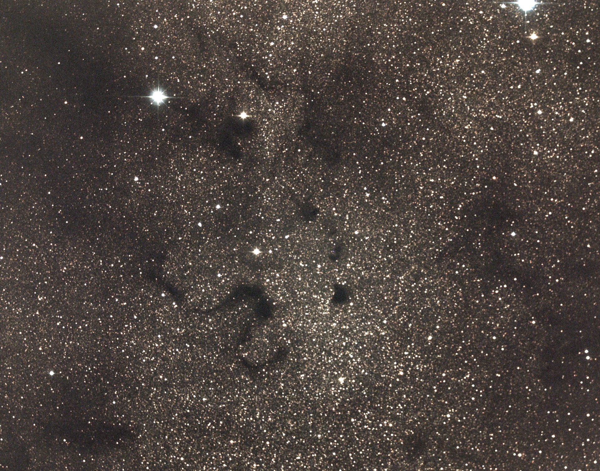 Barnard 72, The Snake Nebula. Photo credit: Richard Johnson.