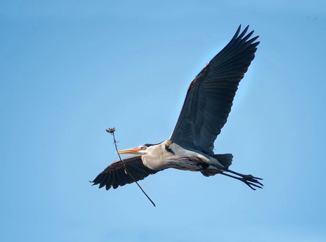 GBH_9661_G_web.jpg