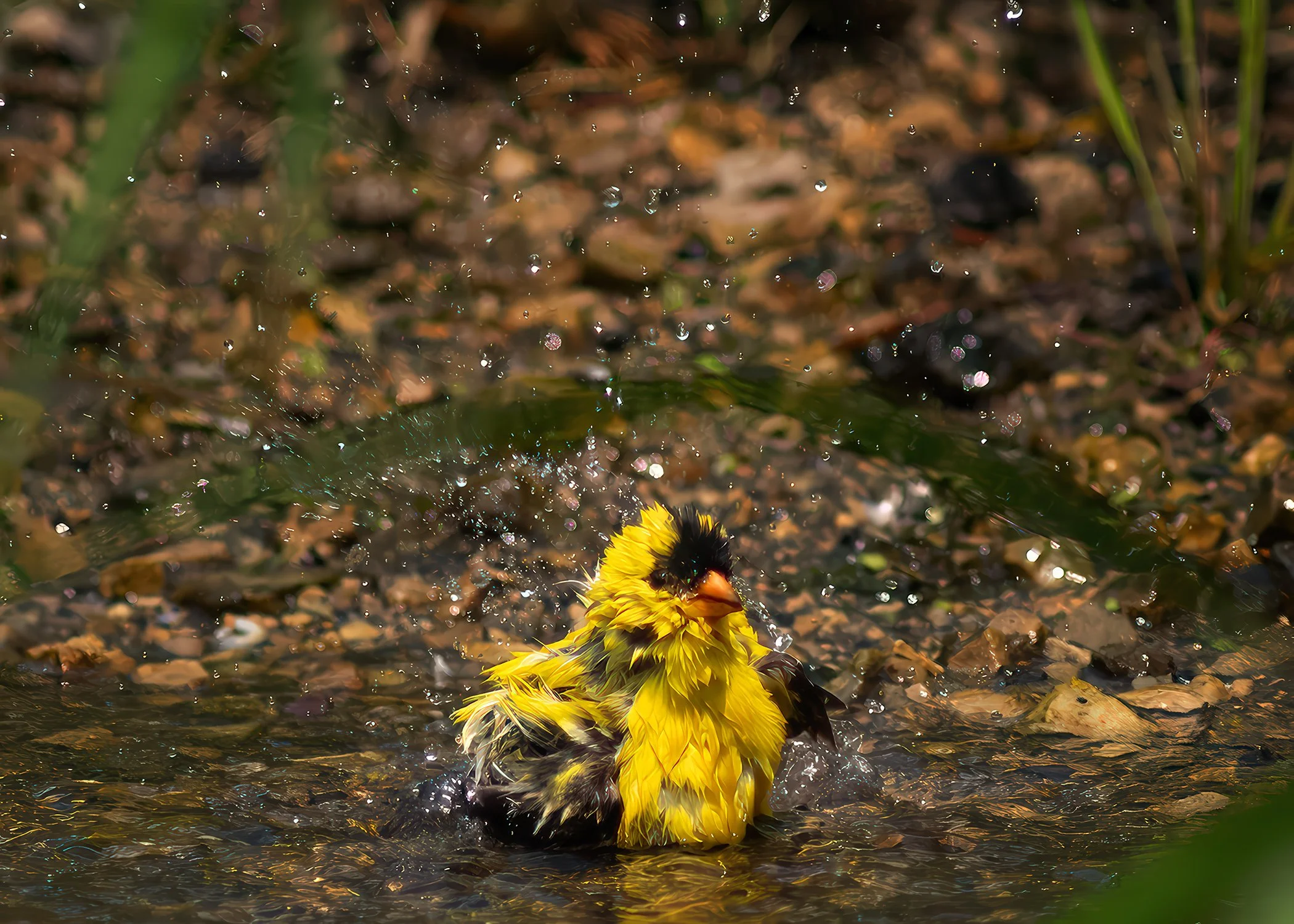 GFGF_bath_6850_web_TC.jpg