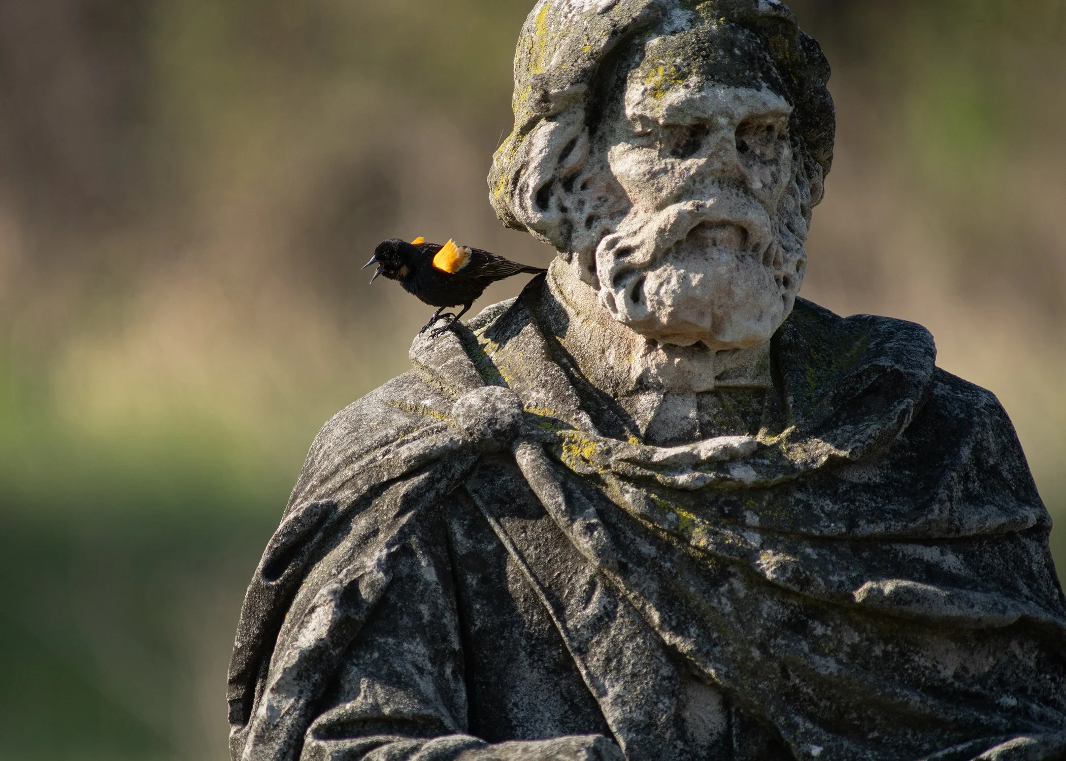 Longfellow_RWBB_1886.jpg