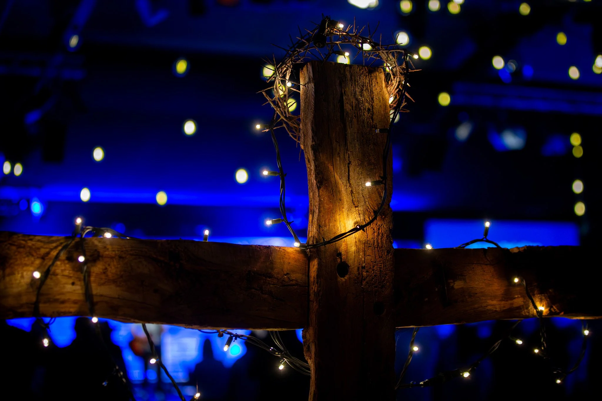 047A7261-Enhanced-NR.jpg