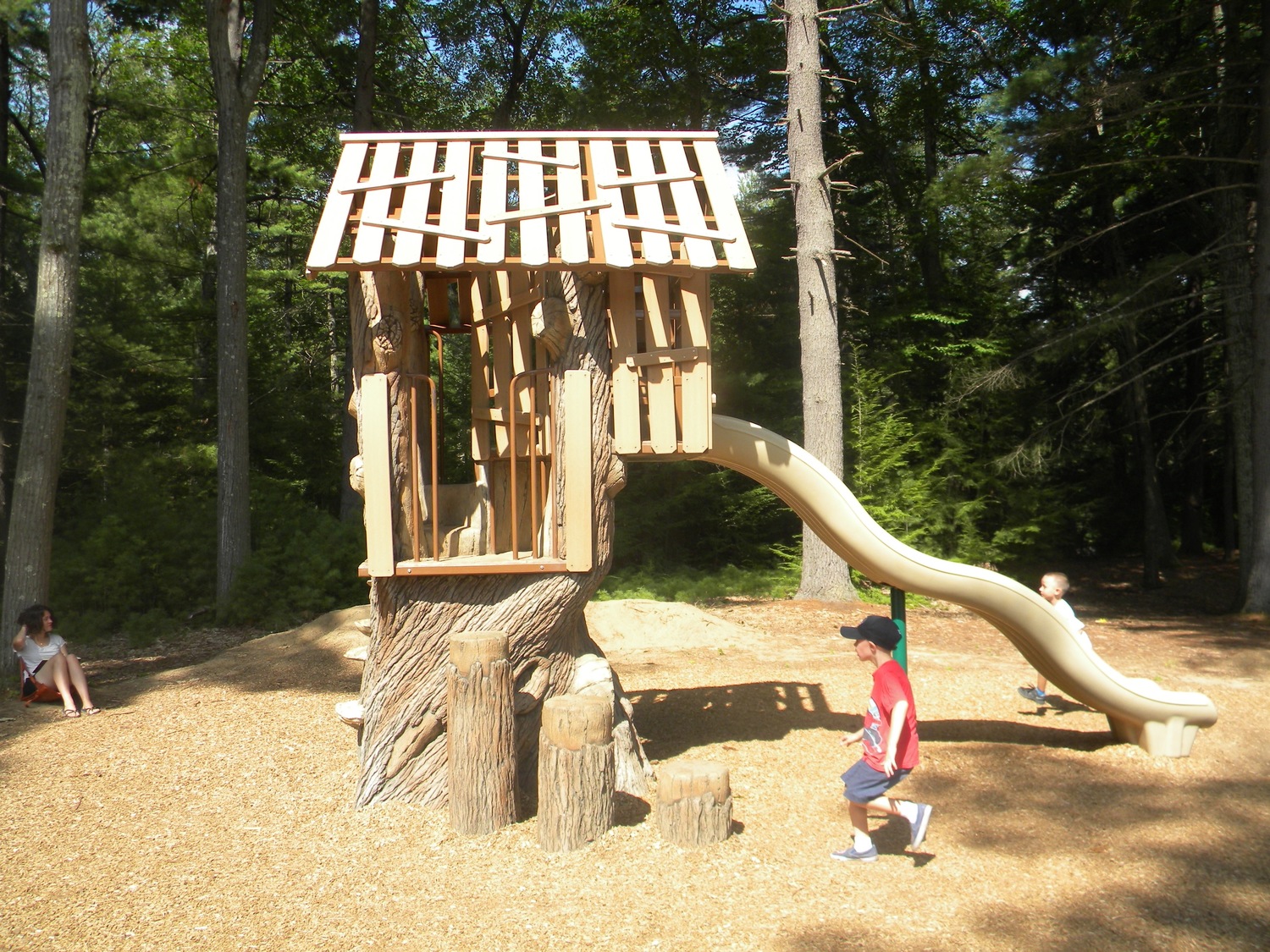 Tree house slide for young kids