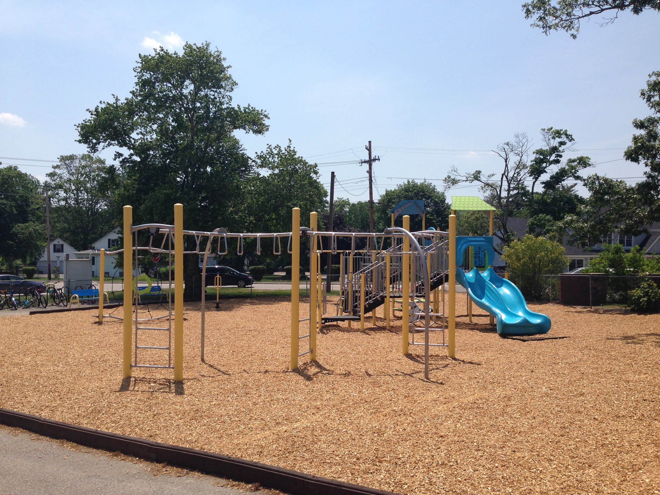 School Playground with wood mulch playground surfacing.jpg