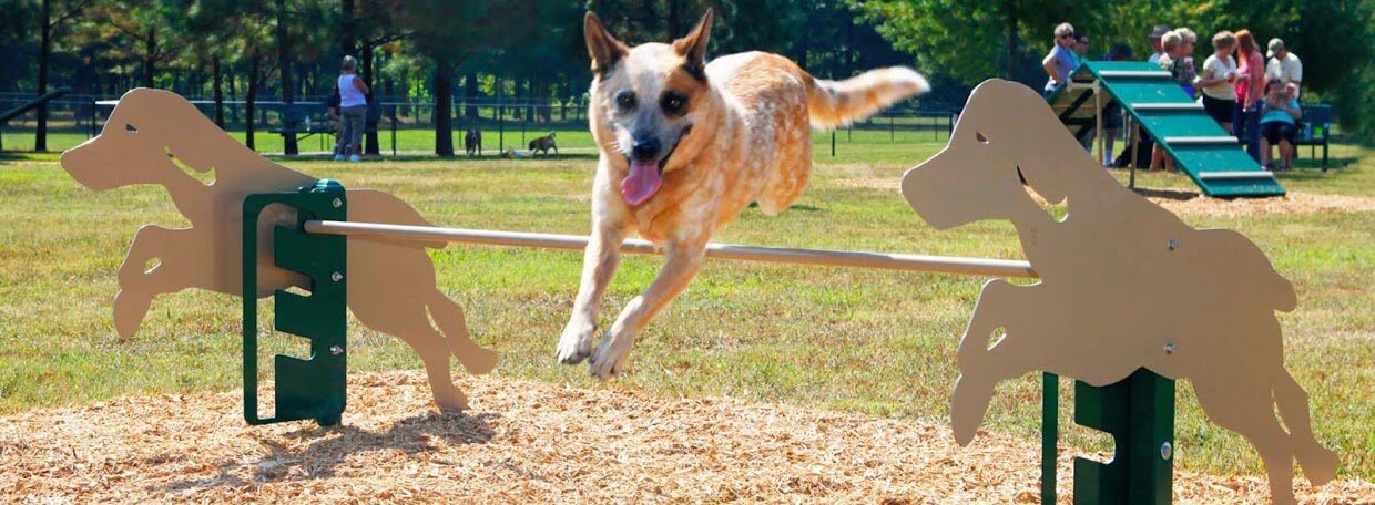 Dog Playground Equipment