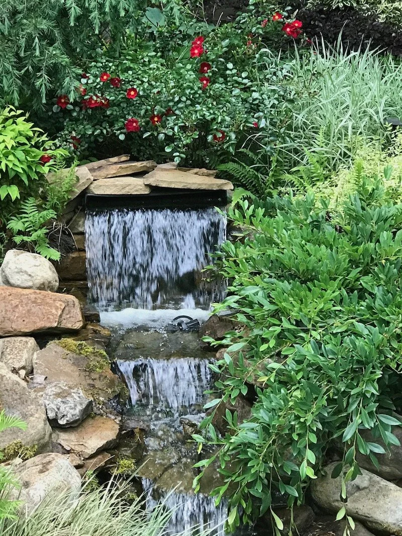 Tech Square ATL Social Club - Darin Griffin - IMG_1900.jpeg