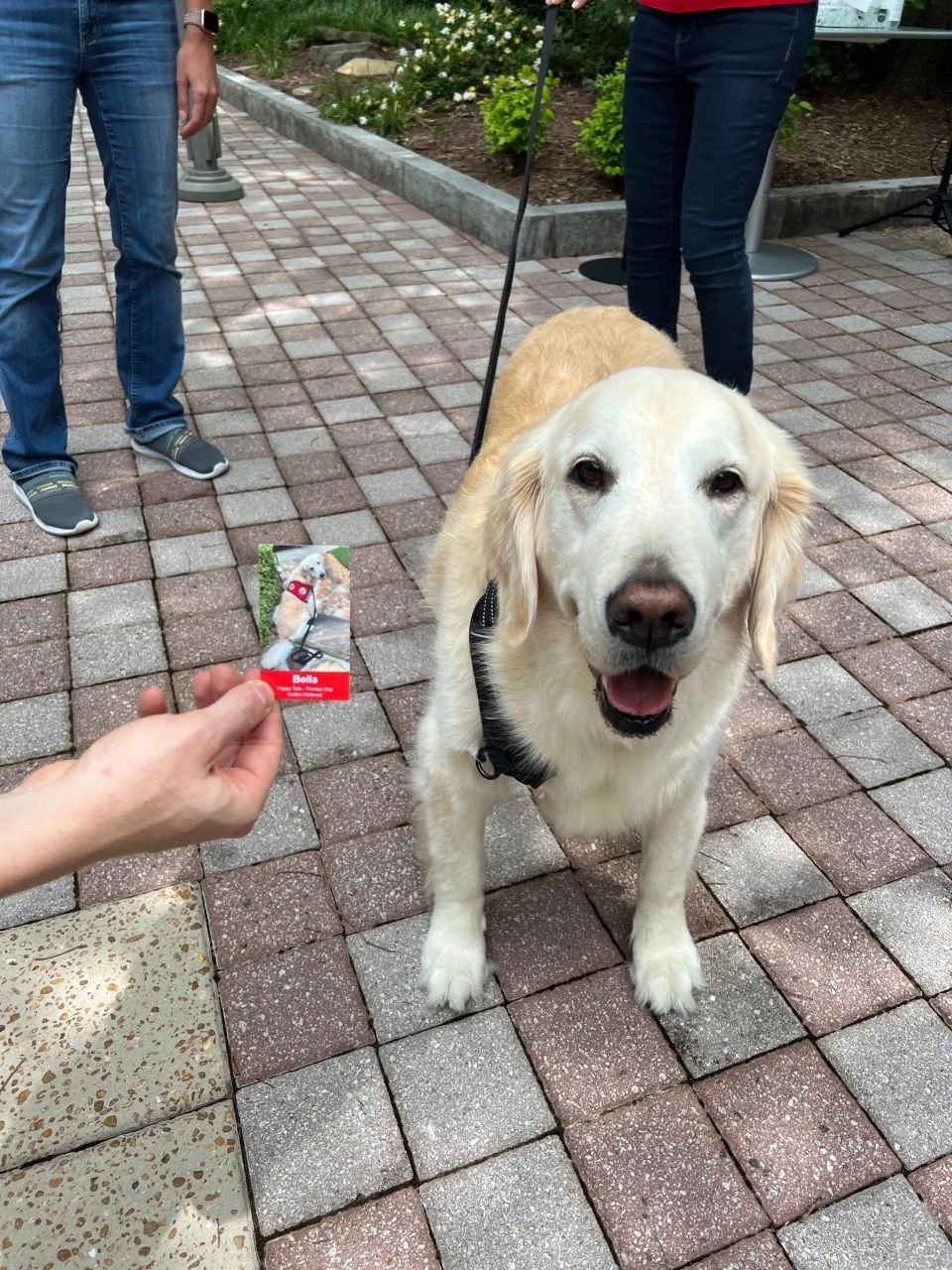 thumbnail_IMG_2606.jpg