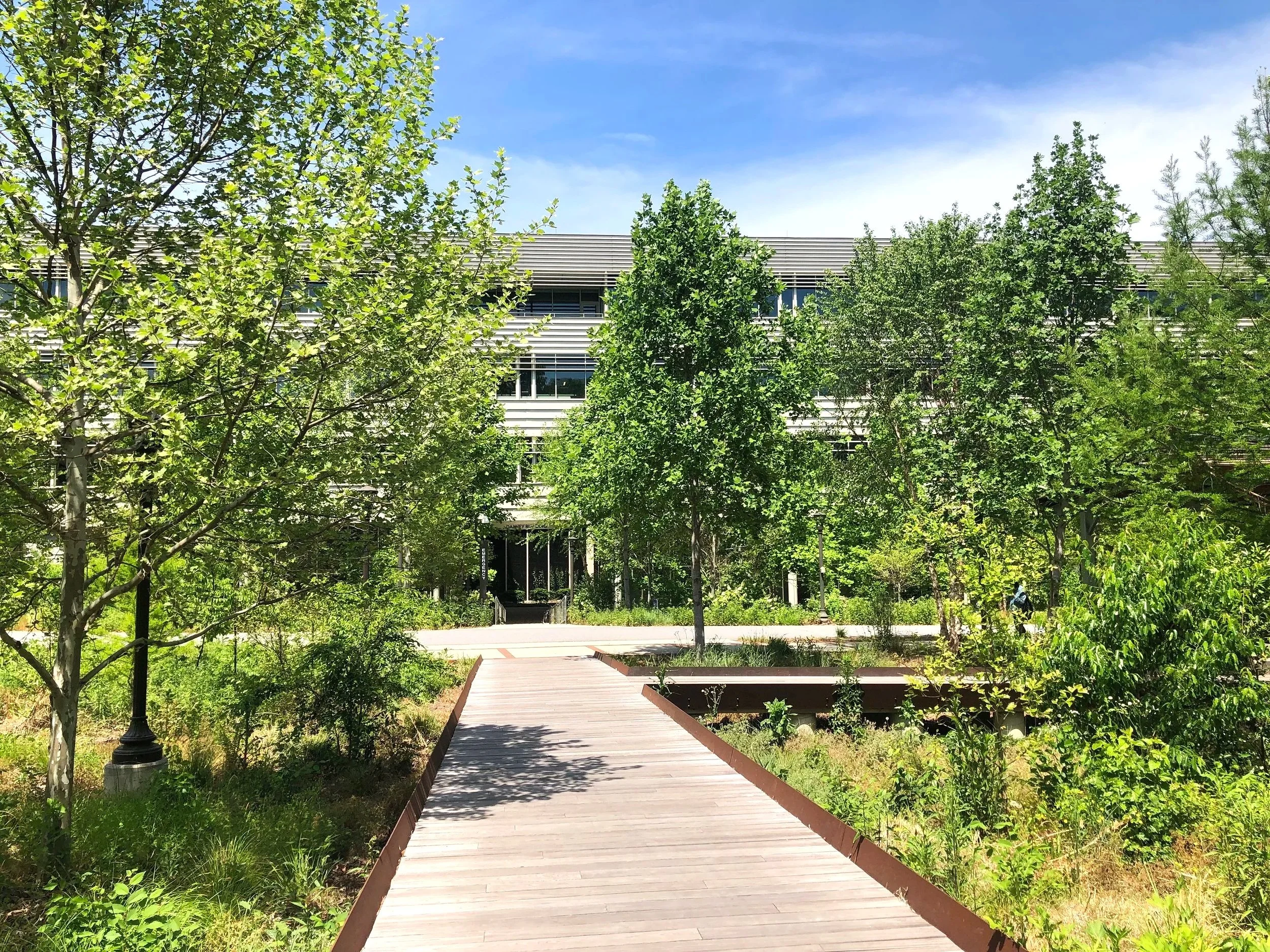Photo of the Georgia Tech EcoCommons featuring a plant-filled greenspace with wooden paths near the building where the CURA 2026 Symposium was held. Photo: Pearl Kaplan/Tech Square ATL.