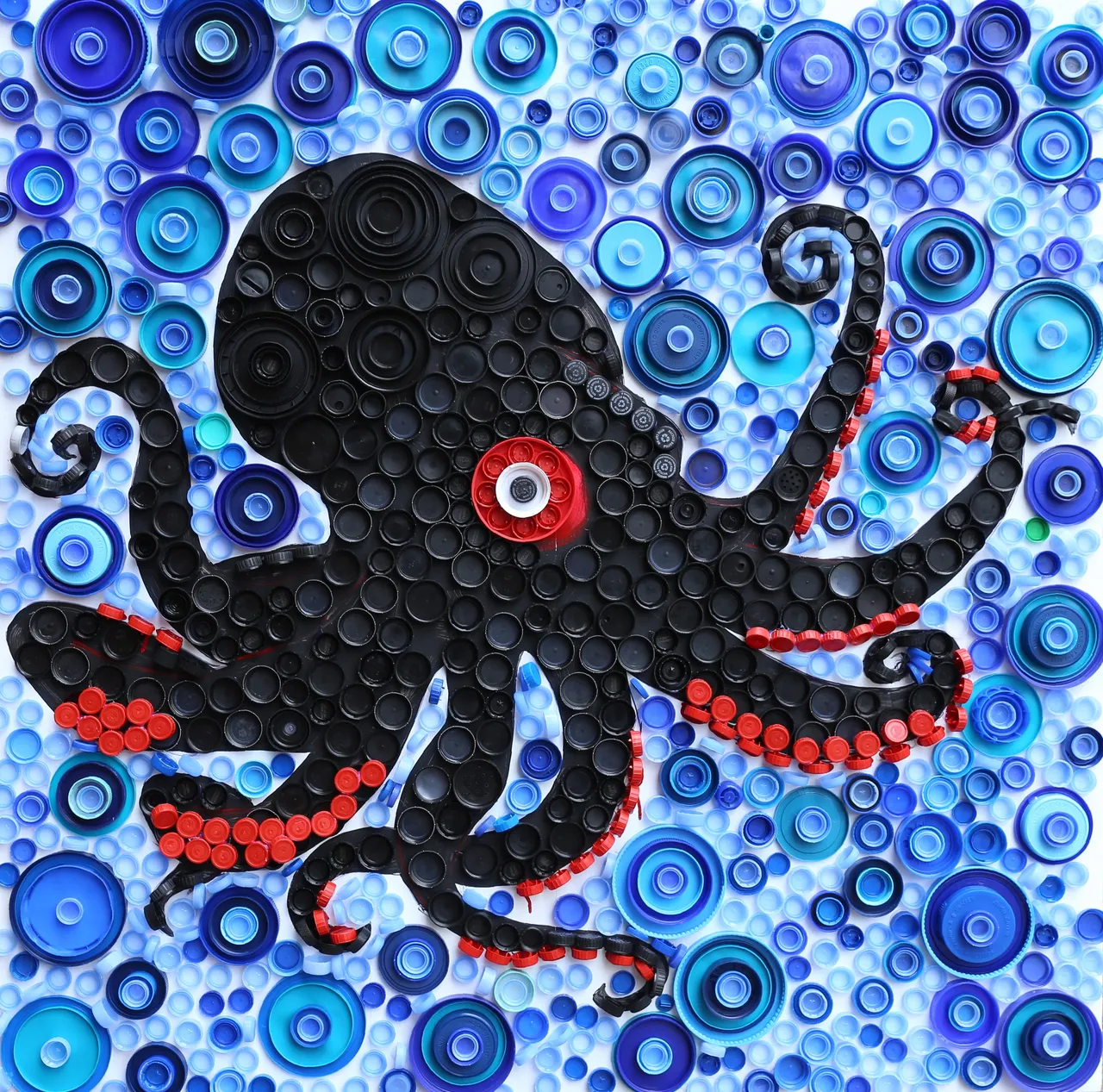 octopus lids.png