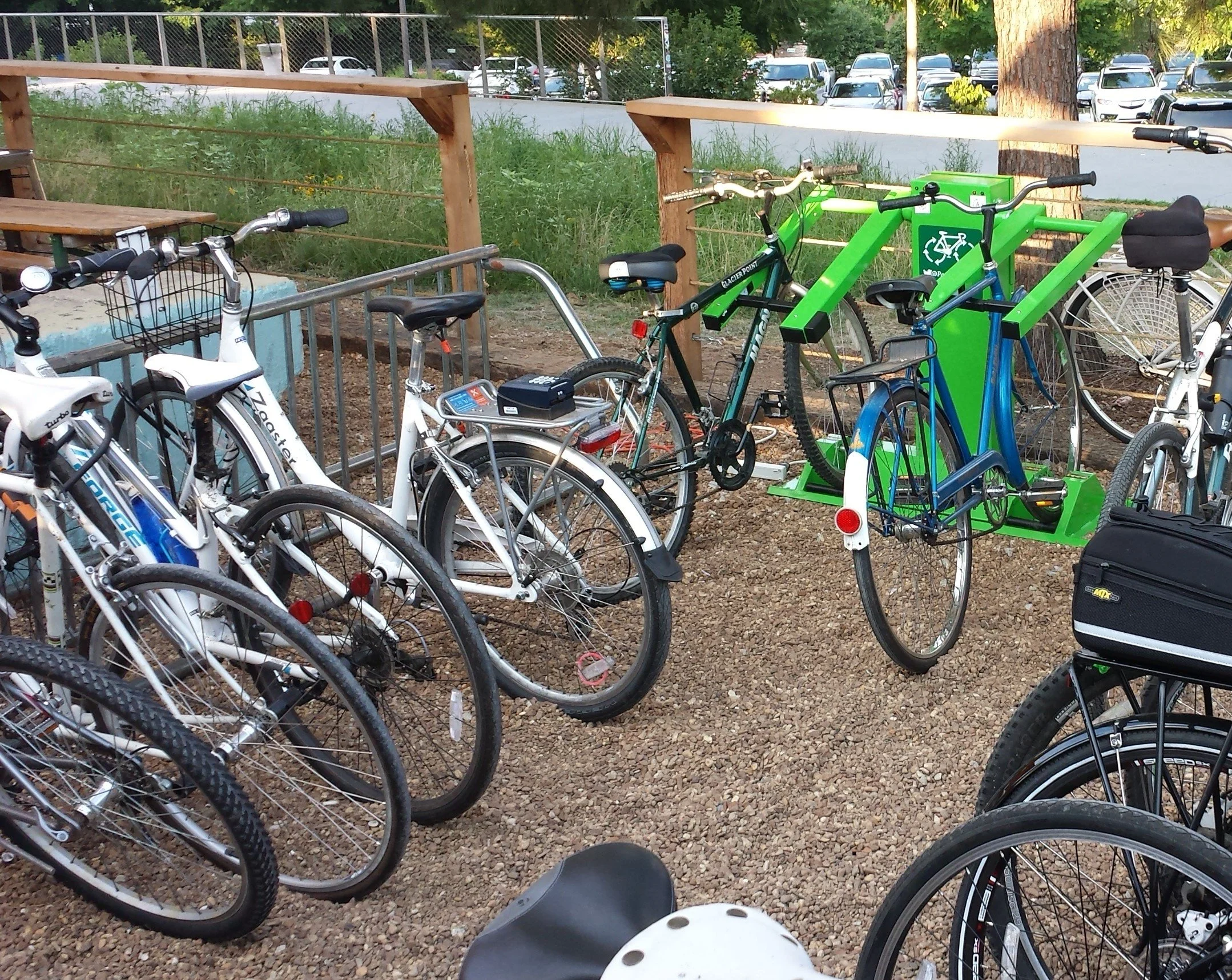 Image: Alessandra Shahan