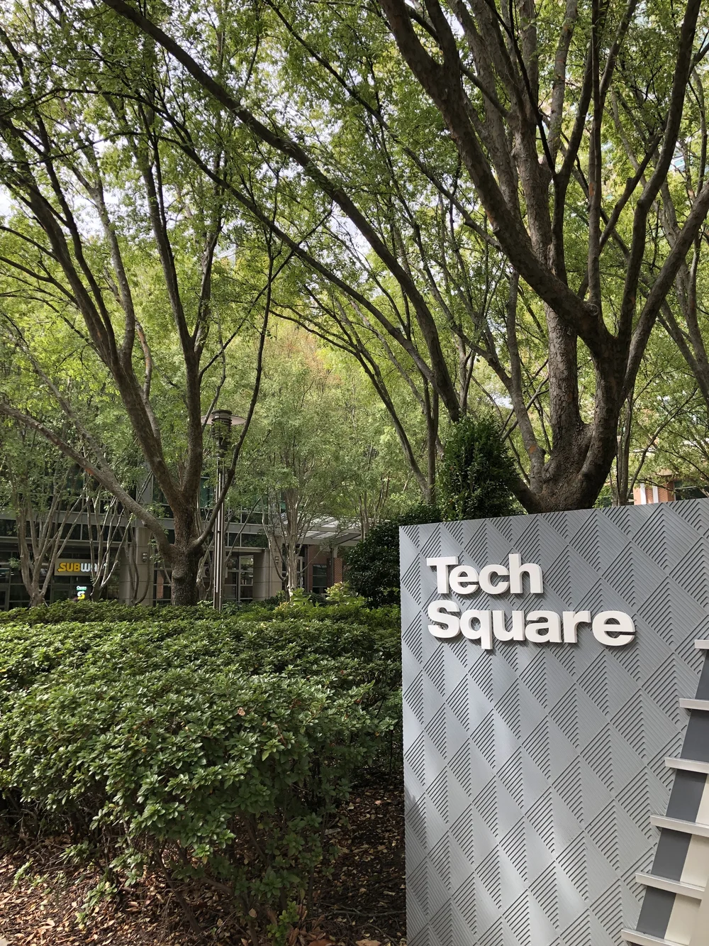   Photo by Pearl Kaplan, 2025  