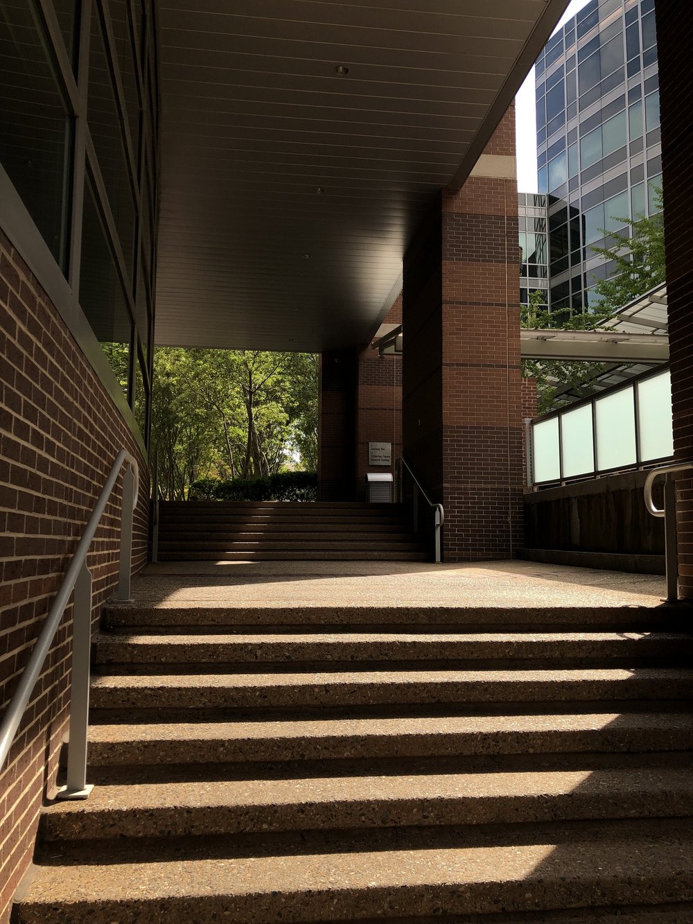   Photo by Pearl Kaplan, 2025  