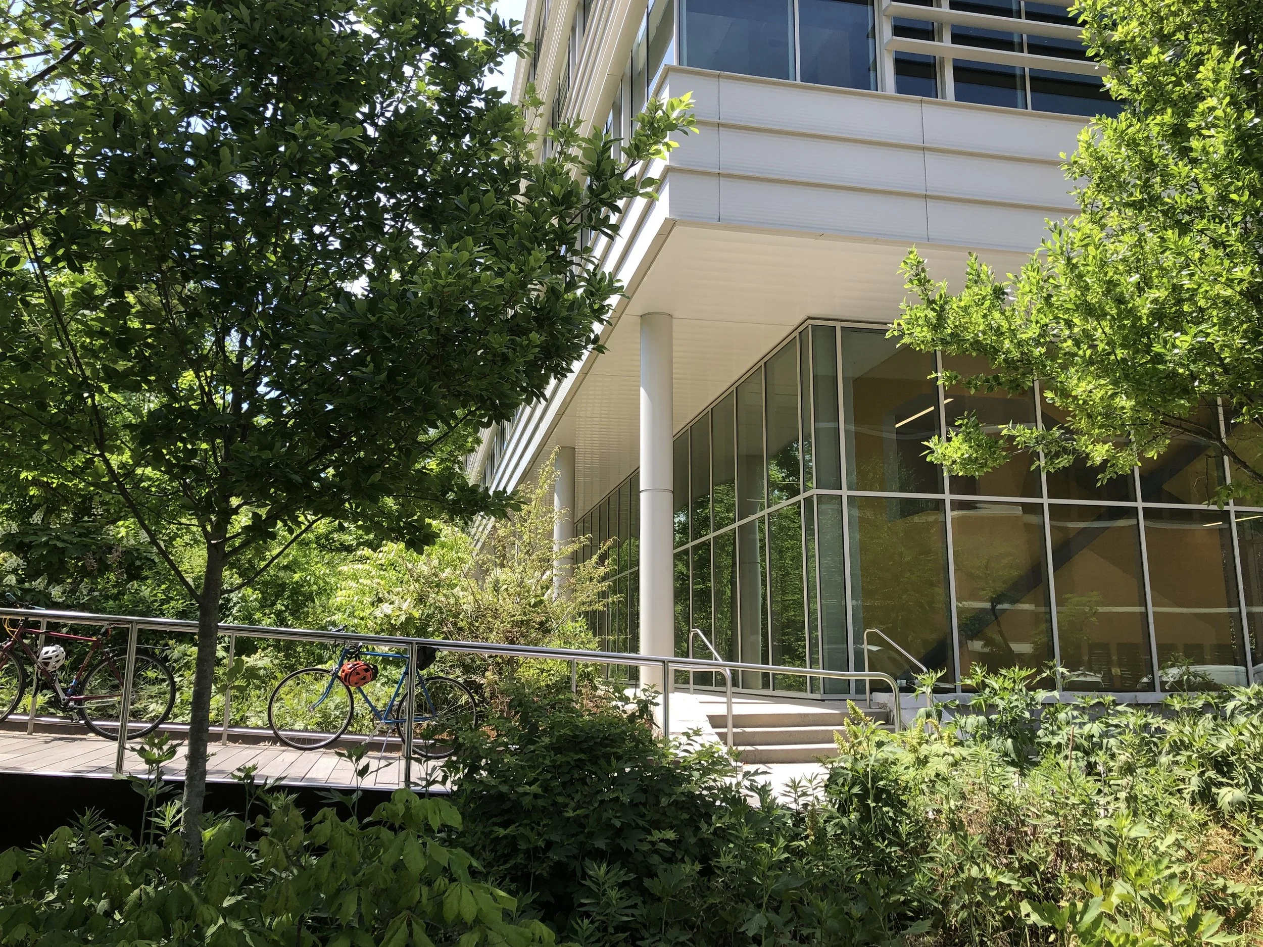 How Can Cities Build Resilience to Flooding and Drought? Experts Distilled Insights at CURA’s 2026 Symposium