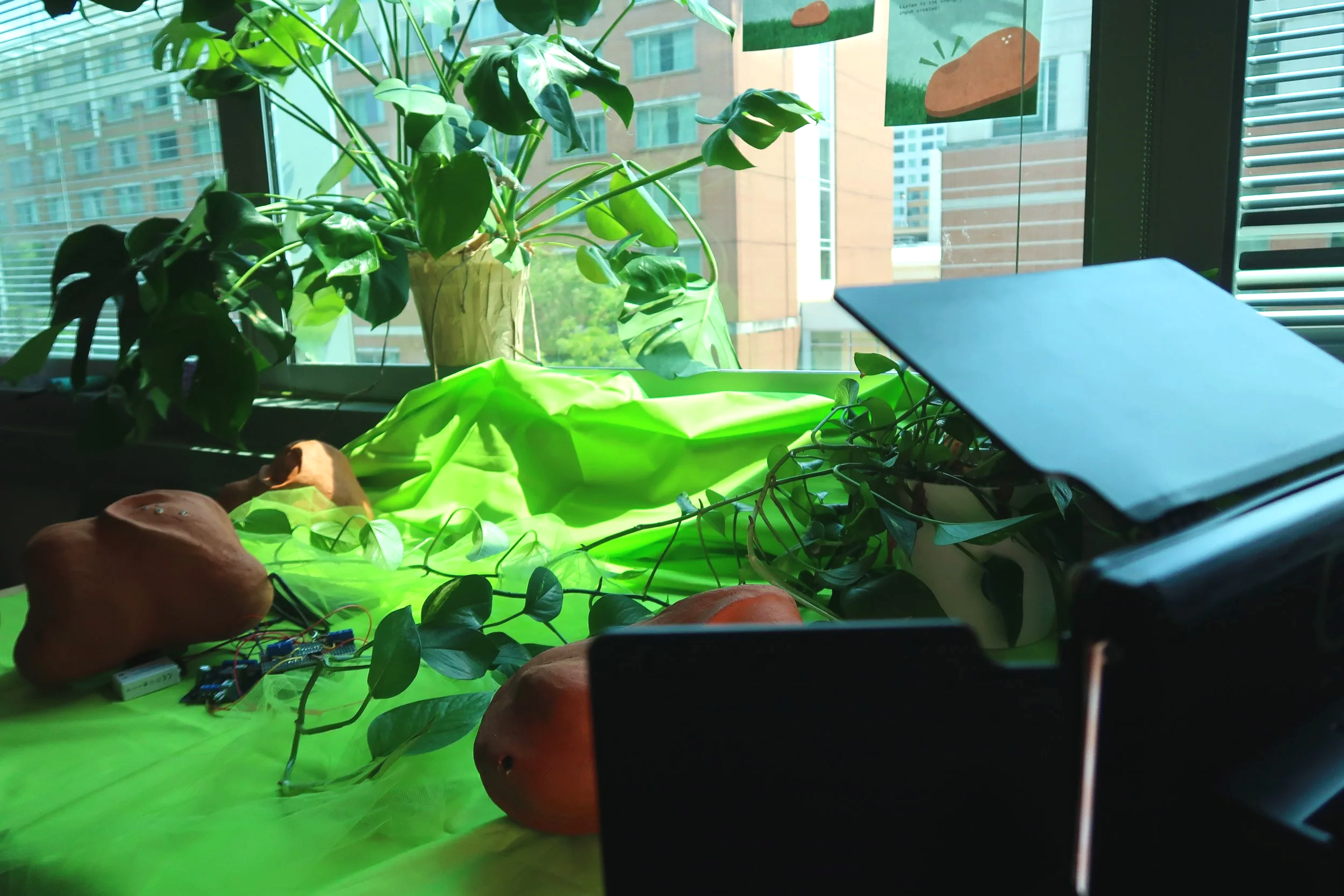 New Experiences in Light, Movement, and Sound at Digital Media Demo Day