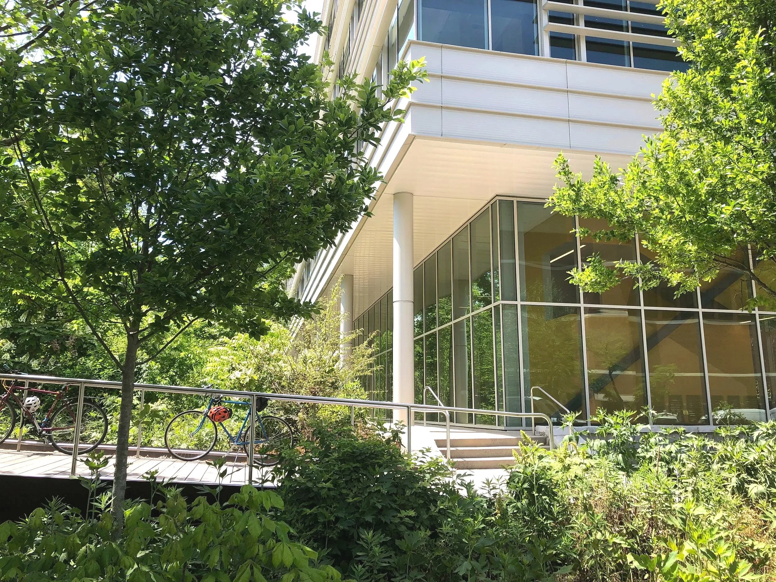 Photo of the Georgia Tech EcoCommons featuring a plant-filled greenspace with wooden paths near the building where the CURA 2026 Symposium was held. Photo: Pearl Kaplan/Tech Square ATL.