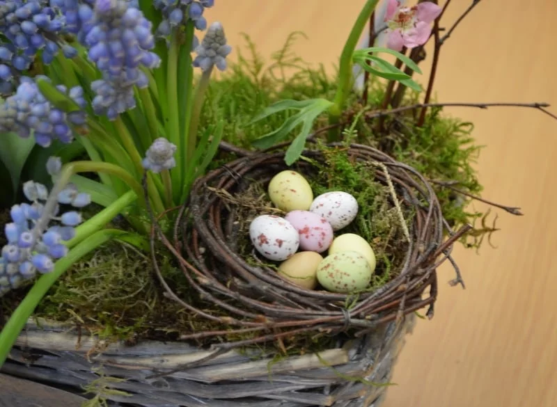 Spring Flowers Workshop