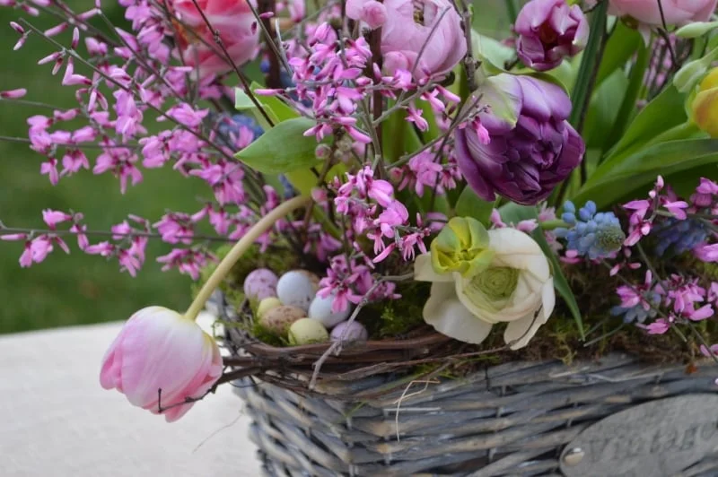 Spring Flowers Workshop
