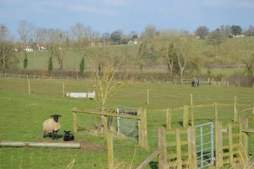 Spring floristry workshop, Rectory Farm, Bucks