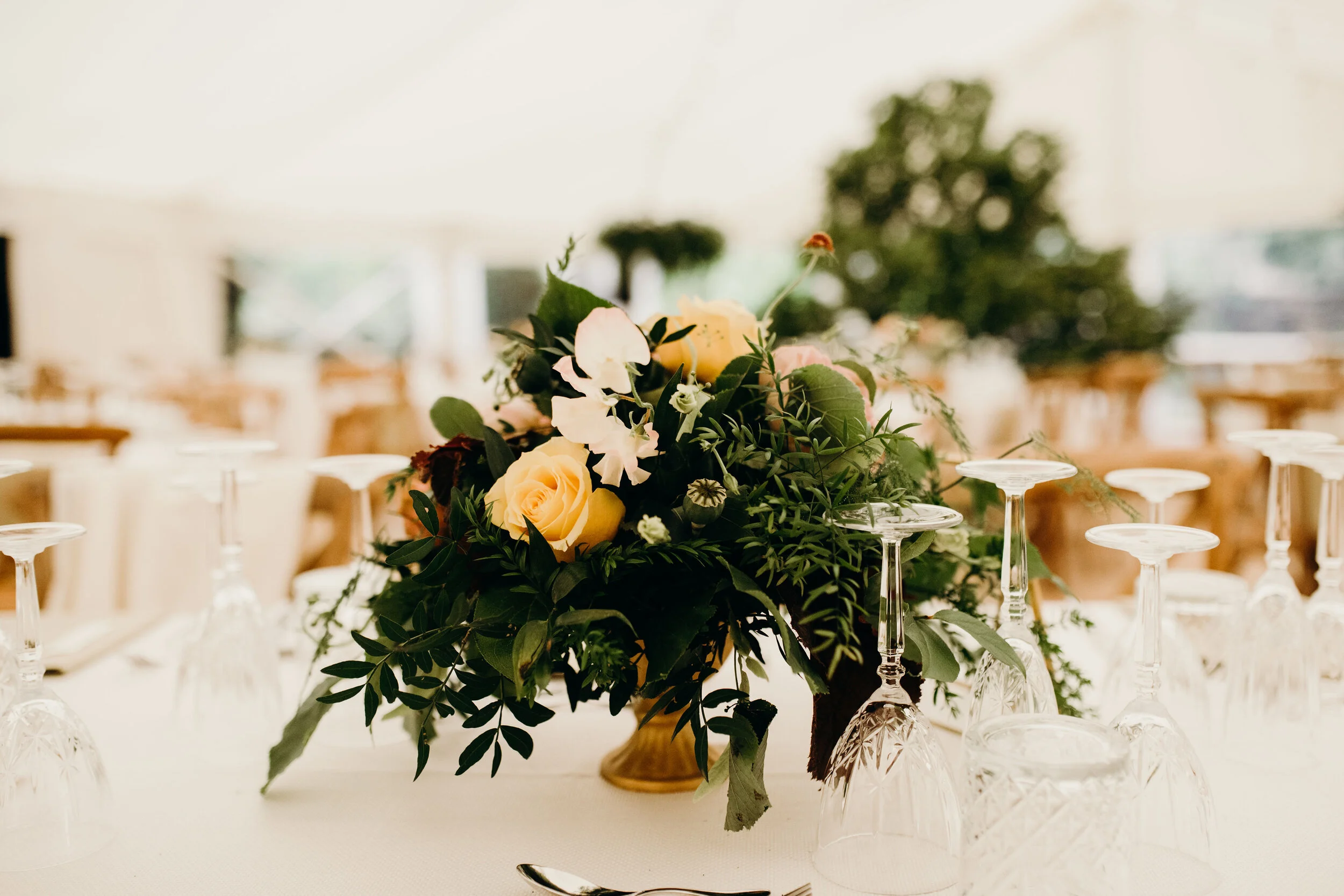 15-06-19(17of665).jpg