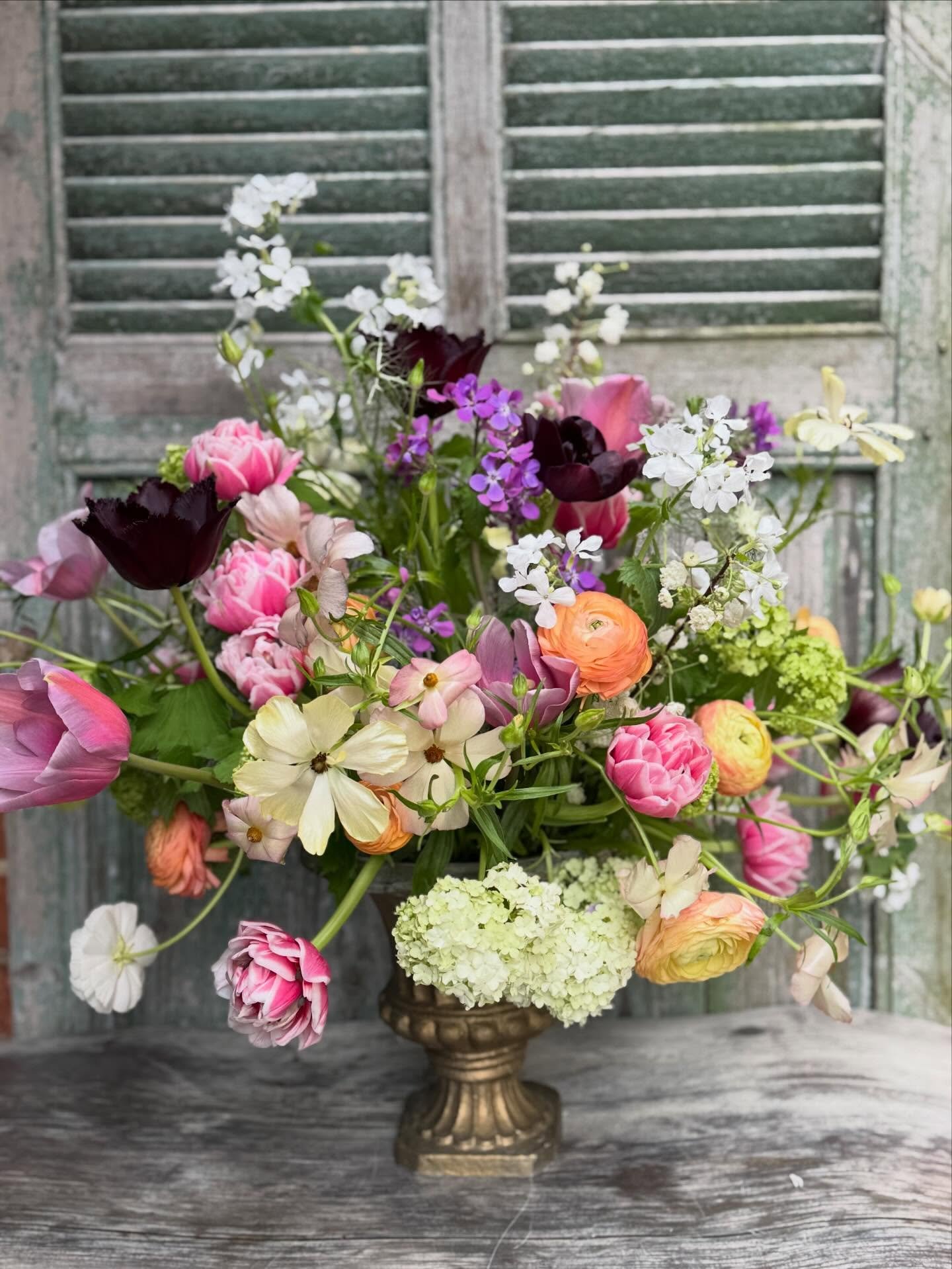 &hellip;&hellip; and so we&rsquo;re back after a lovely long break and what a joyful, hopeful time of year it is. Like hedgehogs emerging from hibernation, we are super excited to have finished spring cleaning the studio in preparation for our first 