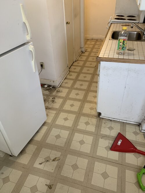  Kitchen, before renovation 