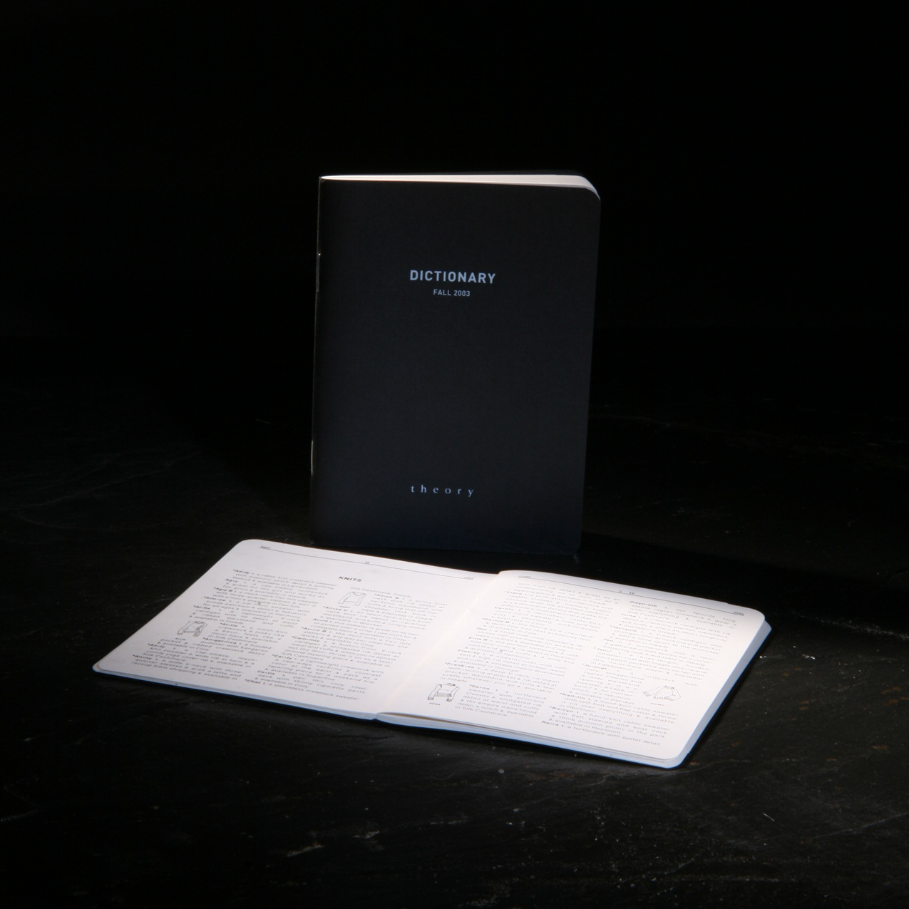 Dictionary Look Book for Theory Brand