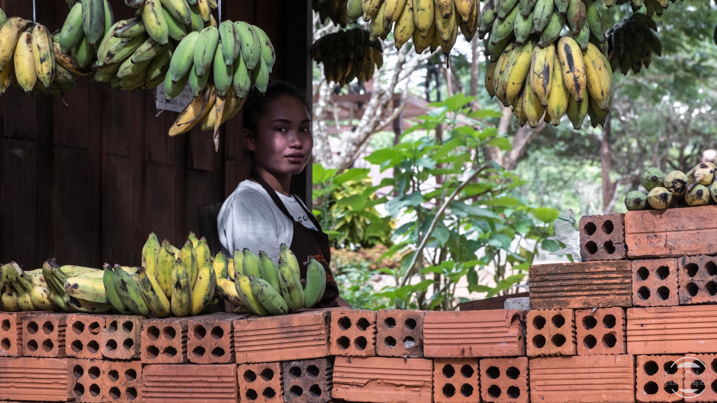   Les bananes du Laos   La production de bananes a explosé au nord du Laos du fait d'énormes investissements chinois et au prix d'une utilisation massive de pesticides qui représente un risque pour les populations locales.&nbsp; La création de nouvel