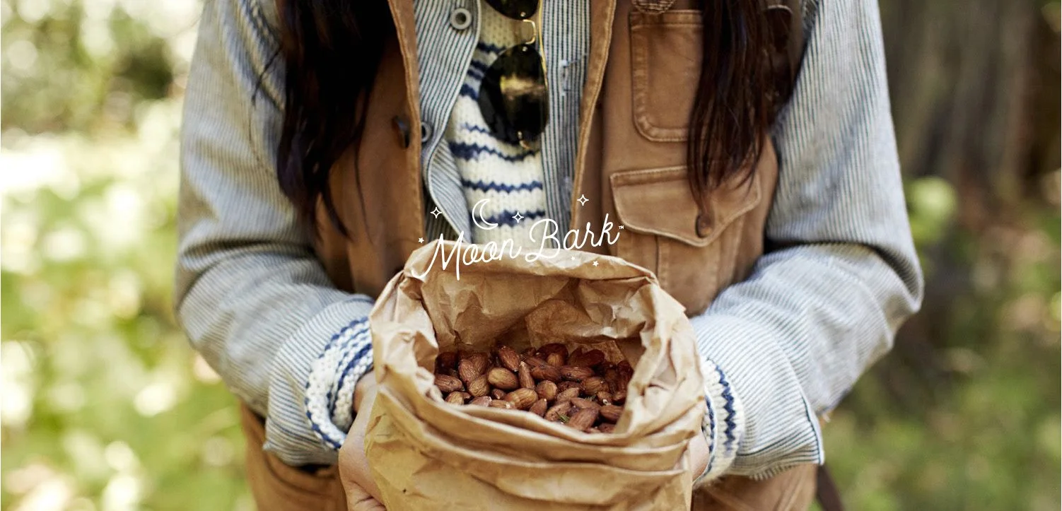 SQPACE Banner Size MoonBark.jpg