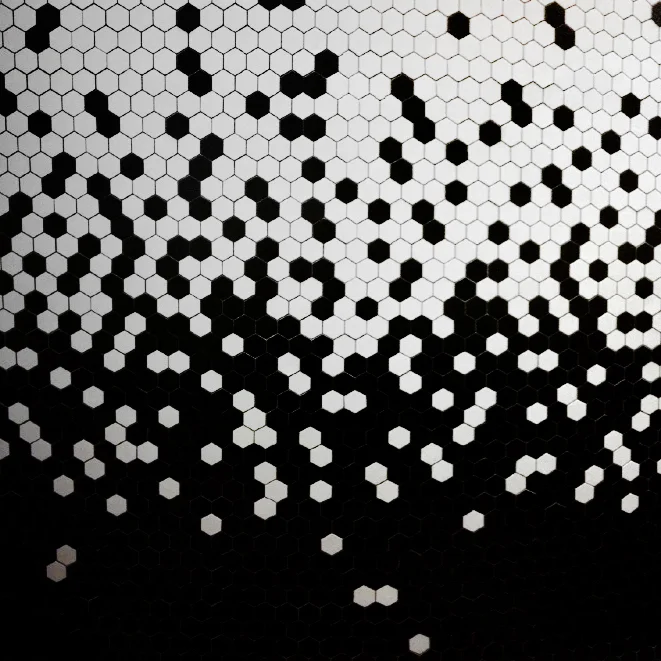 873 hex tiles.jpg