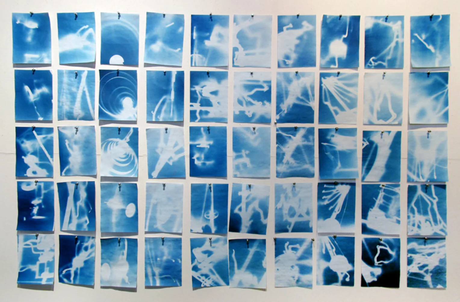 StudentCyanotypes.jpg