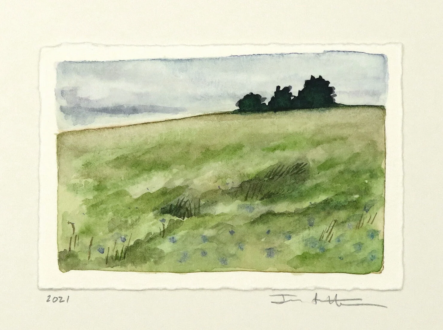 Blue Field