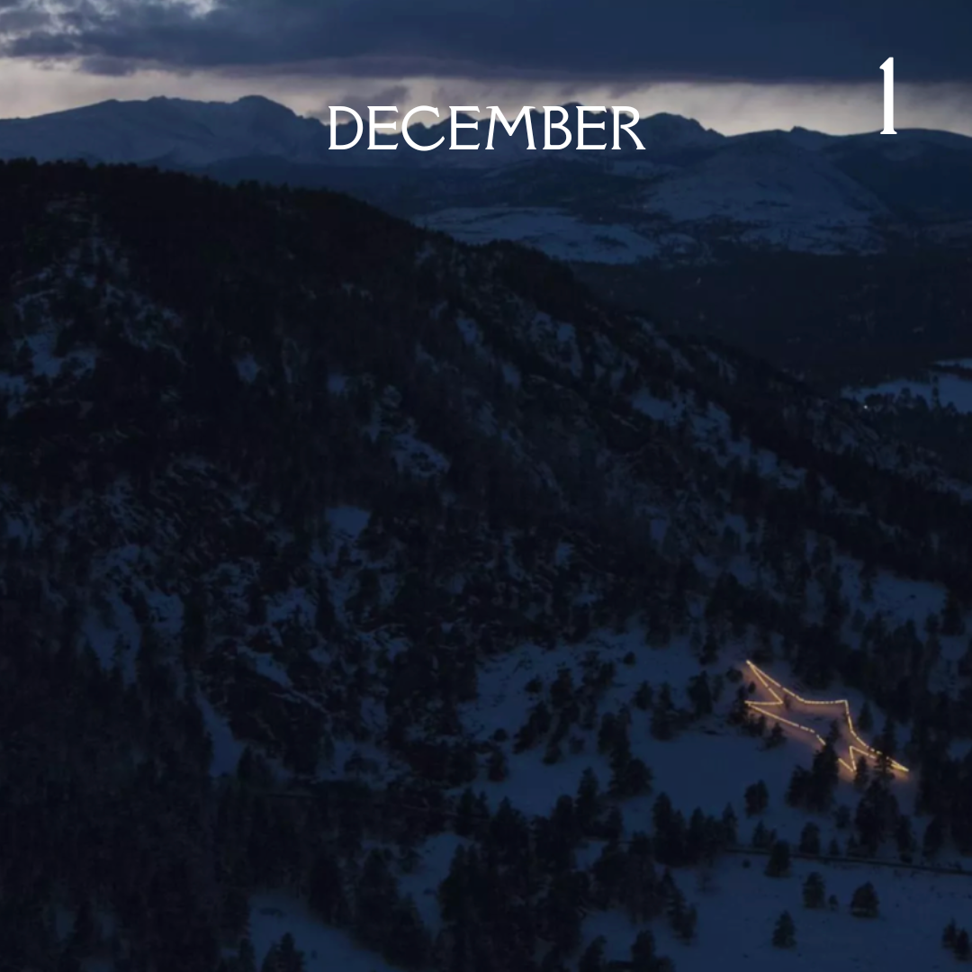 Advent Calendar (14).png