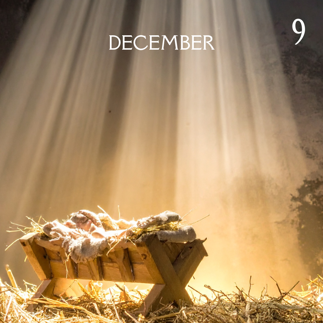 Advent Calendar (19).png