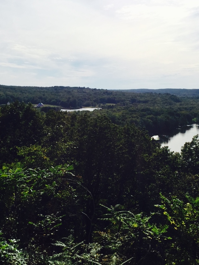 the view was pretty paintable, though my photo doesn't do it justice.