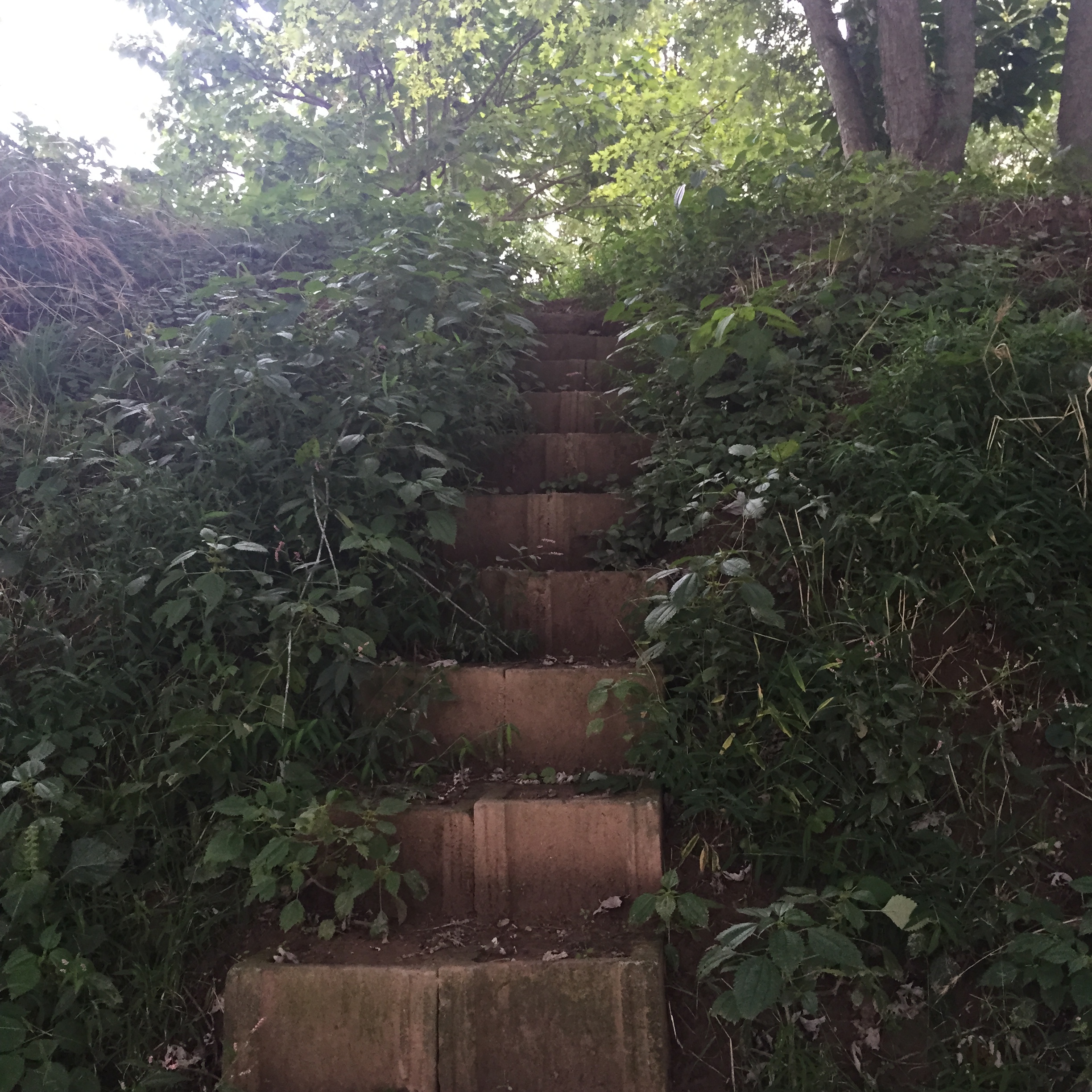 on the path to the river.