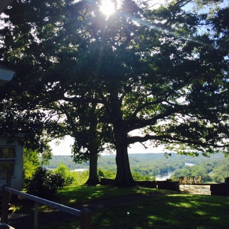 yard, veranda, and view, in delightful afternoon splendor. next year, come see for yourself!
