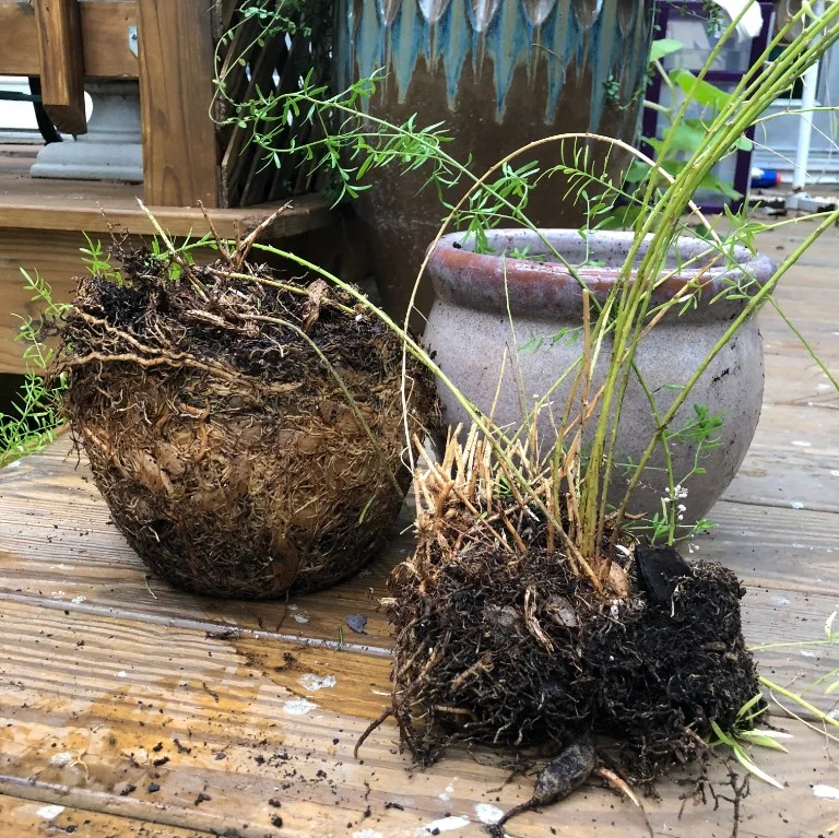 is it time for a new pot?