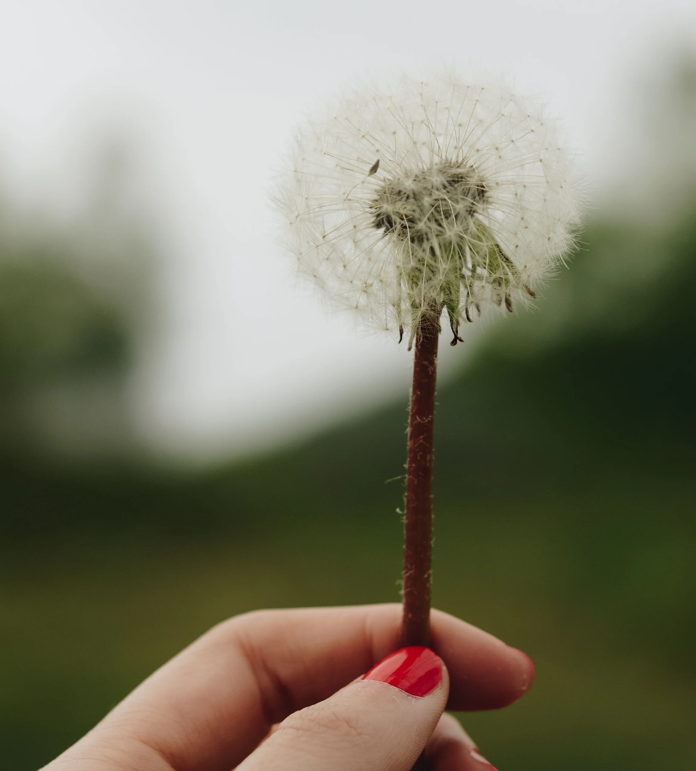 Behold the power of Yet