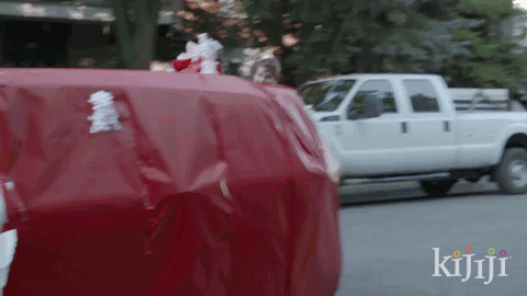 2.10.gif