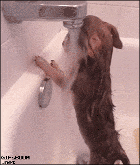 63b2f696-c33c-4ed0-aeea-fb476d258079.gif