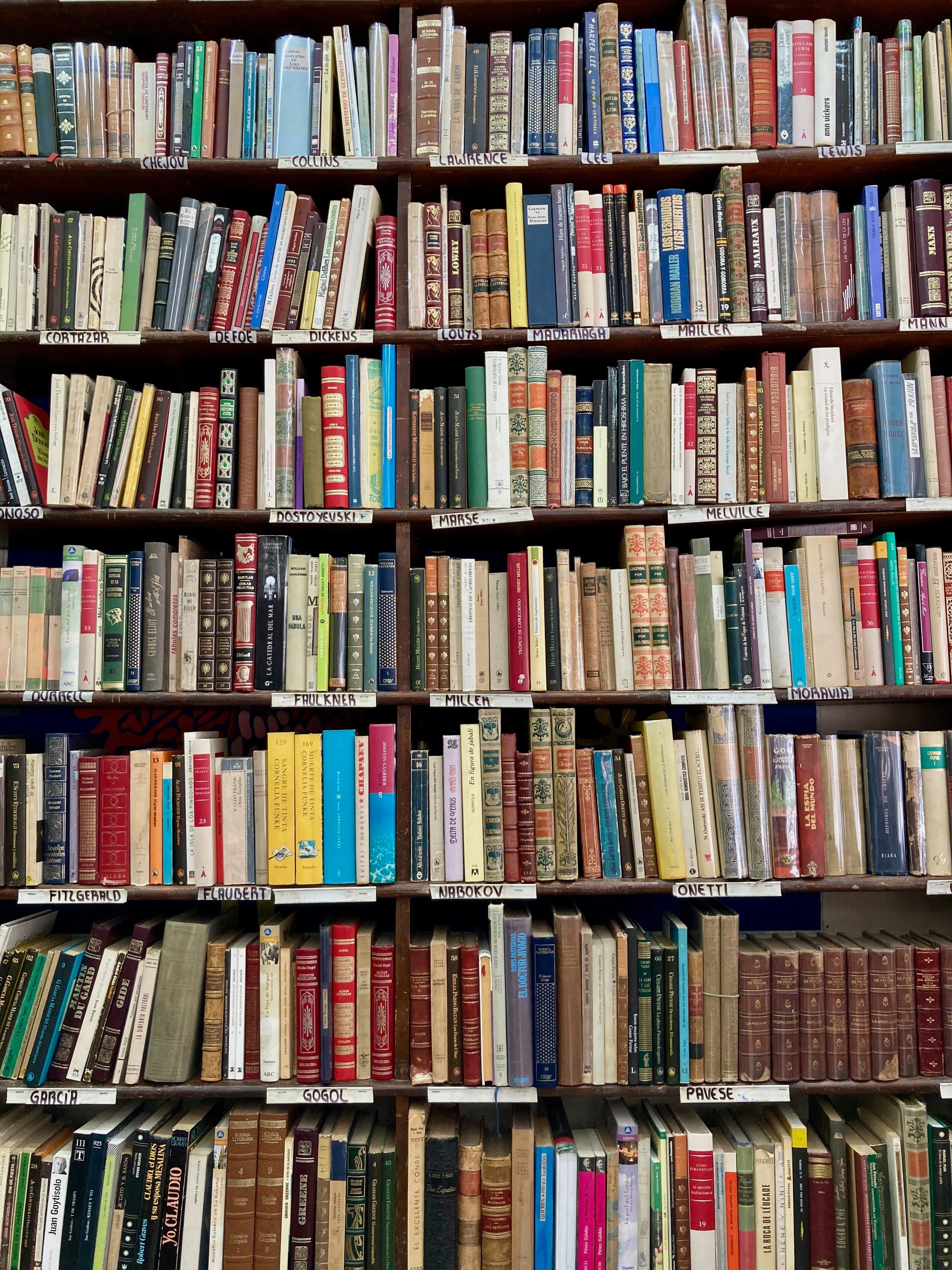 What I found in the New Books Section