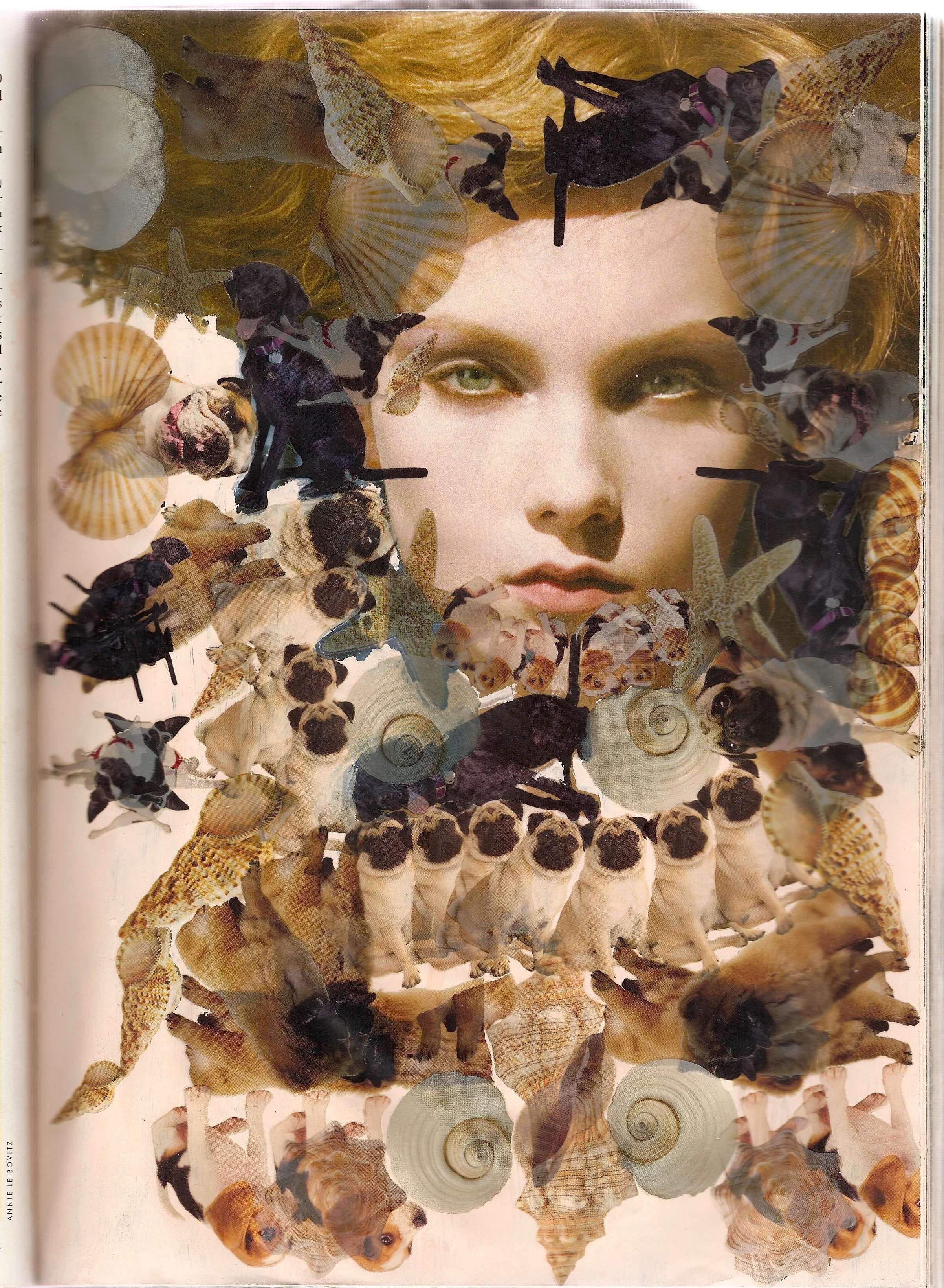 Untitled Mixed Media 20"x21.5" (framed) 2010